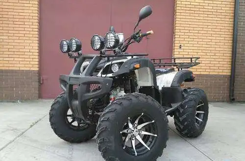 КВАДРОЦИКЛ YAMAHA GRIZZLY ATV 250CC, фотография 2