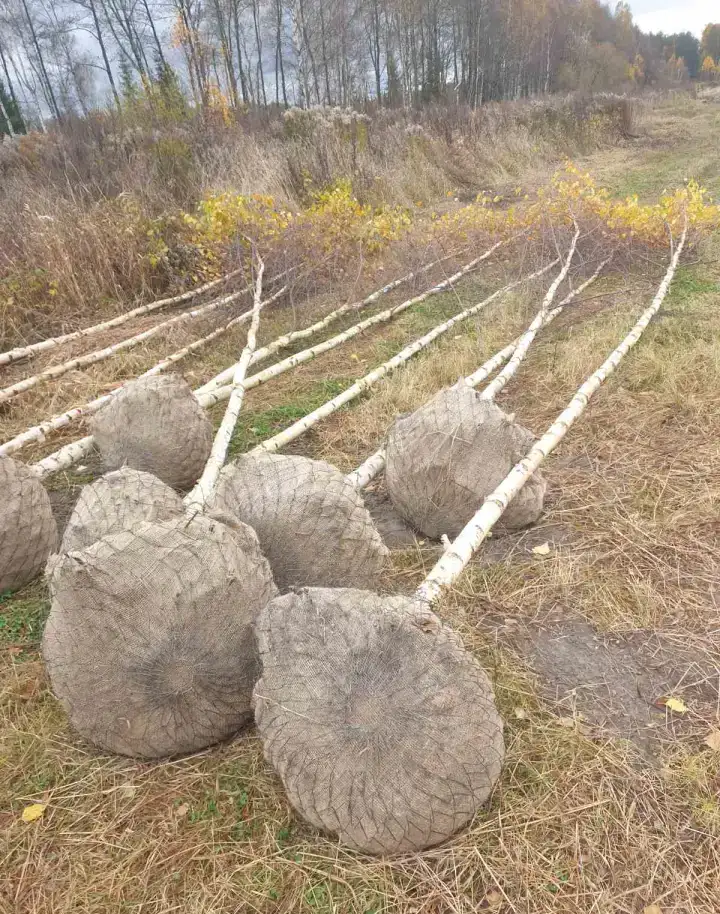 Продам, фотография 1
