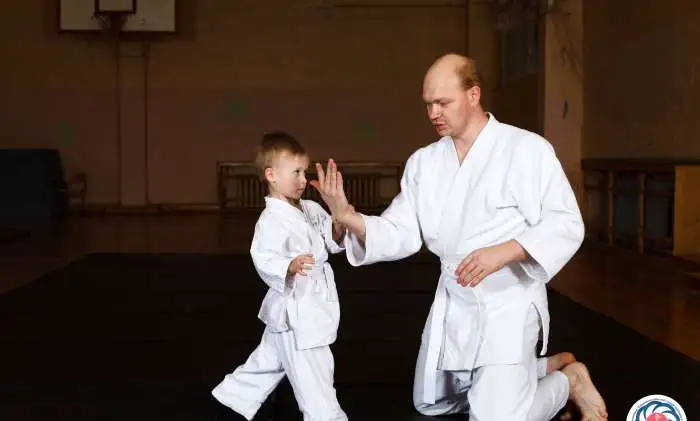 Айкидо для малышей 3-7 лет. ВИЗ Центр Юго-Запад., фотография 1