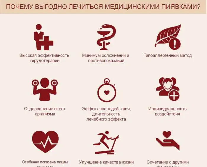 Пиявки на дому в Москве. Постановка медицинских пиявок на дому., фотография 7