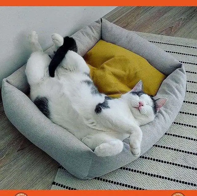 Лежанки и матрасики для кошек и собак, фотография 7