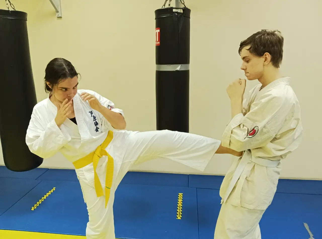 Спорт клуб Шодан, фотография 2