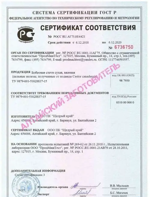 Струя бобра высшей категории (А), фотография 11