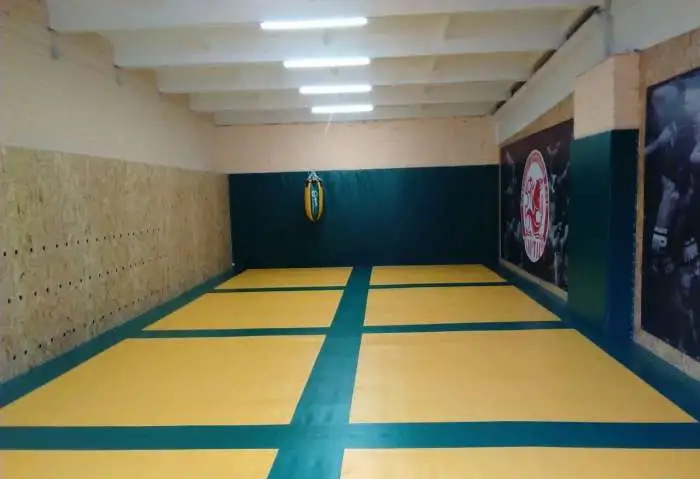 Борцовский ковер, стеновые протекторы, маты..., фотография 1