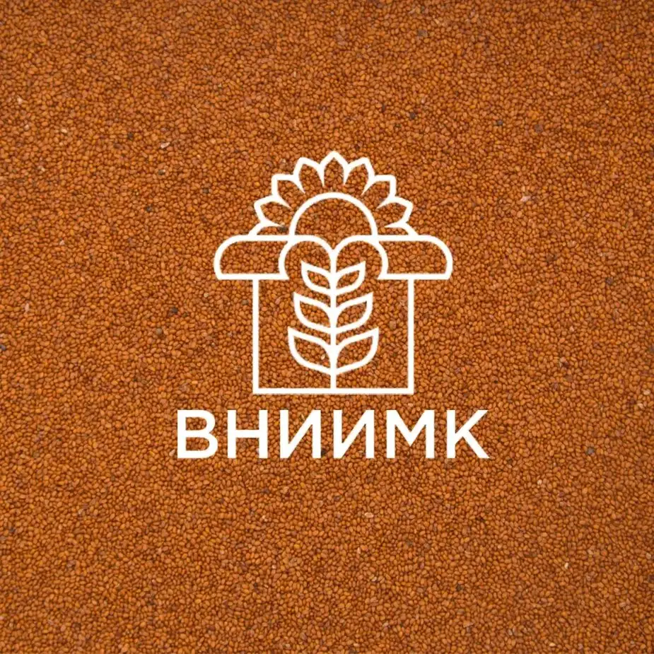 Семена ярового рыжика ВНИИМК сорт Кристалл, фотография 1