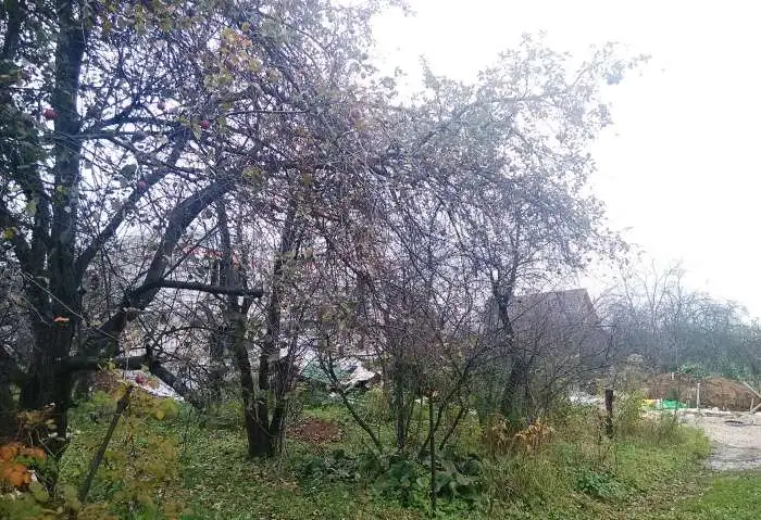 Участок 5.1 сот. (СНТ, ДНП), фотография 4
