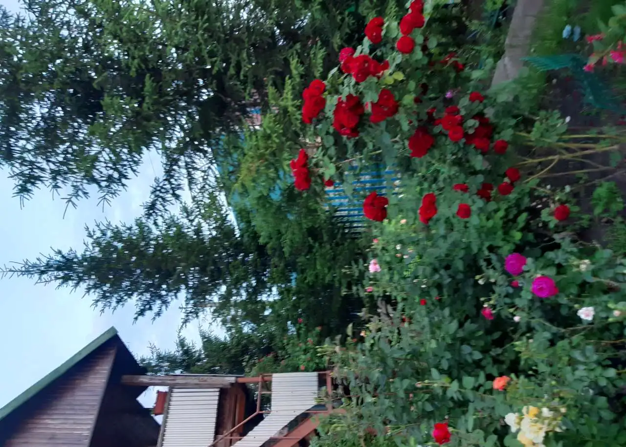 Продается дача в заповедной зоне Самарская Лука на берегу Волги. 40,00 м2, фотография 7