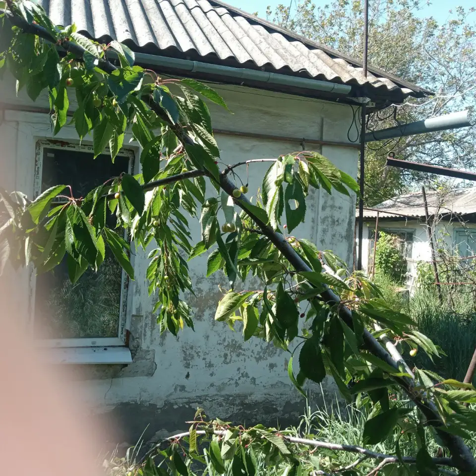 Продается 3-х комнатная квартира в доме на два хозяина, 1 эт., г., ул. Гагарина, 5/1, фотография 4