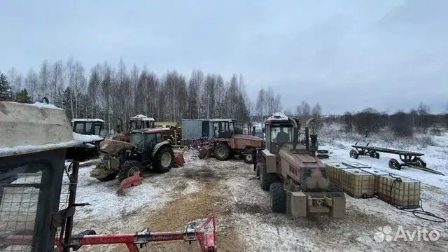 Расчистка заросших полей от деревьев от 1 Га, фотография 5