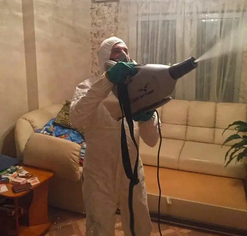 Дезинфекция Уничтожение тараканов клопов мышей Дезинсекция. Удаление запахов, плесени, фотография 6