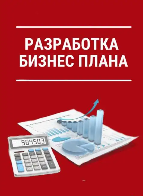 Разработка бизнес-плана с финансовой моделью, фотография 1