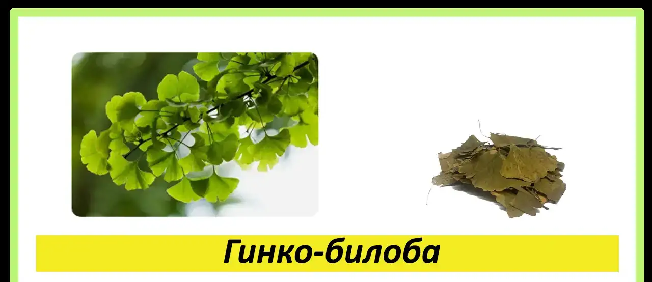 Целебные травы в каждый дом!, фотография 10