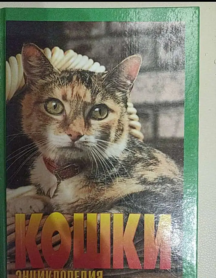 Книга Энциклопедия Кошки. Джино Пуньетти., фотография 1
