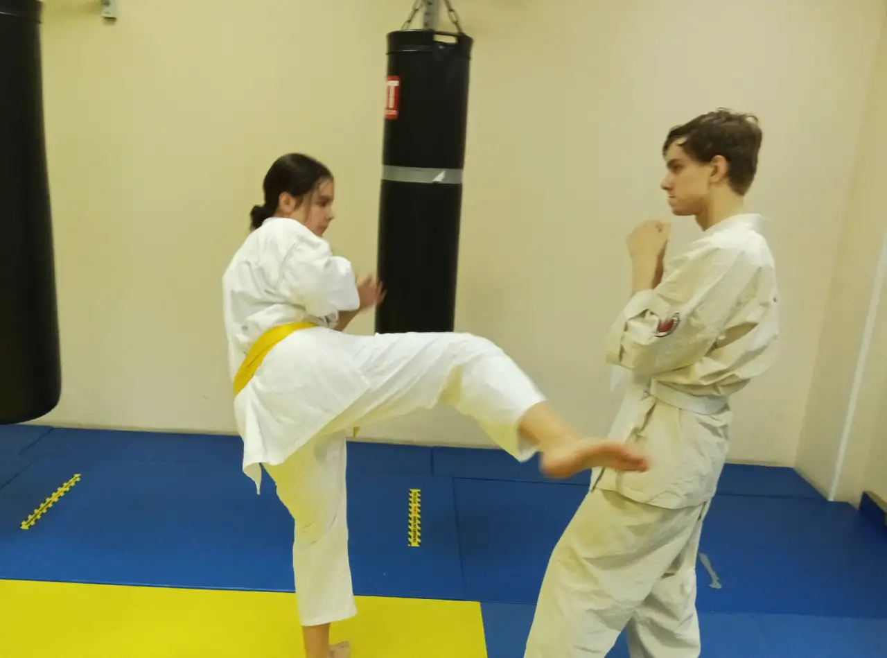 Спорт клуб Шодан, фотография 3