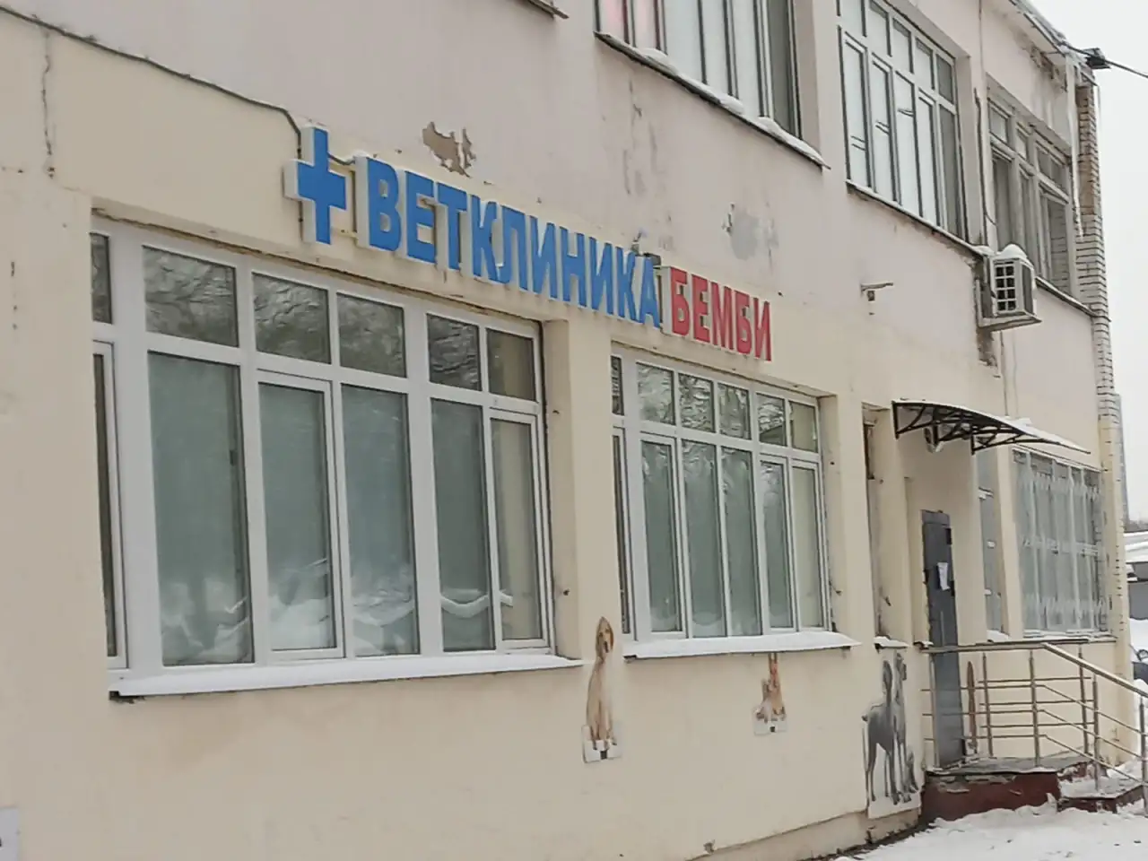 На Каховке ведет прием ветврач нефролог., фотография 1