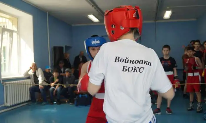 набор в секцию бокса, фотография 2
