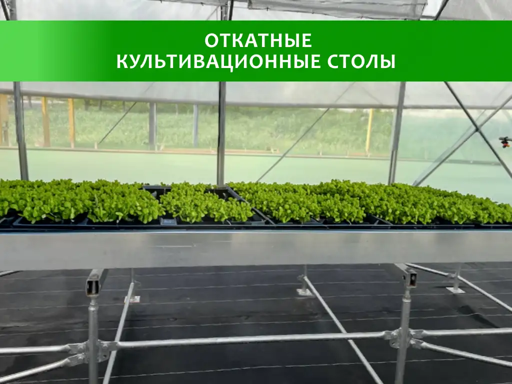 Стол для рассады в теплицу, фотография 1