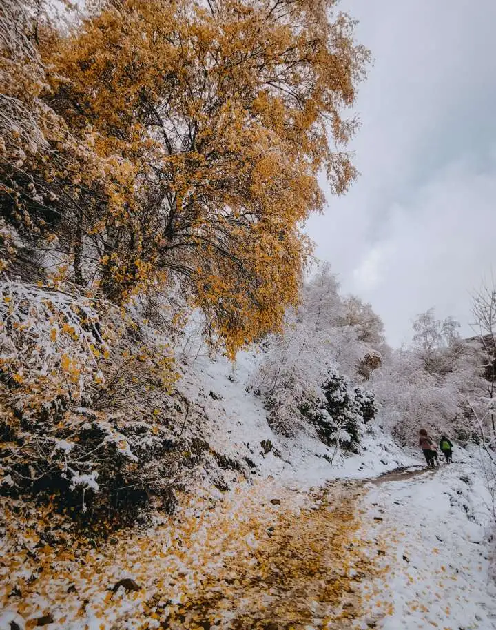 Мега тур в Дагестан, 5 дней 