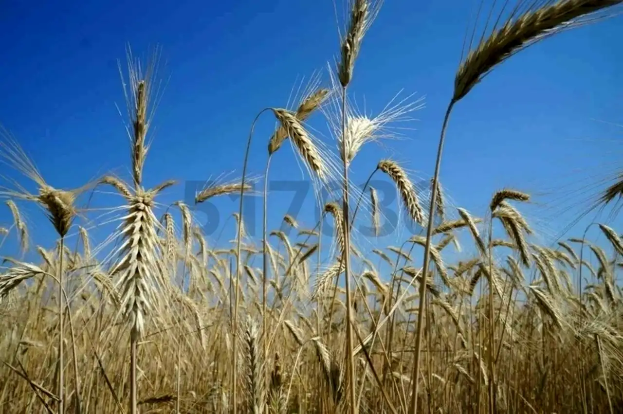 Продам коммерческую недвижимость 0,00 м2, Корабельная ул.,, фотография 1