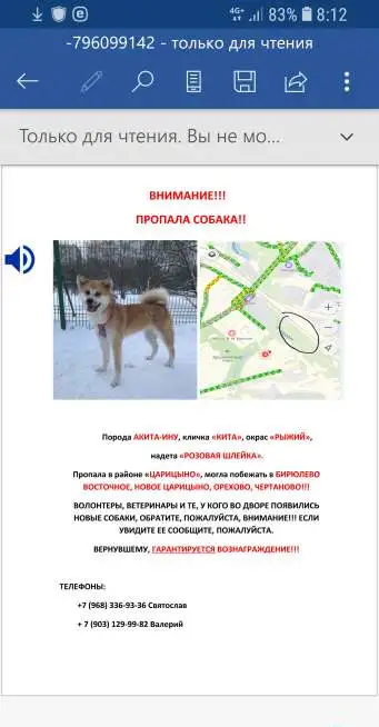 Пропала собакп, фотография 1