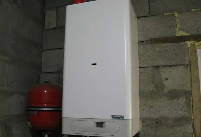 Продам газовый котел Thermona 20 TLX.A (чехия), фотография 4