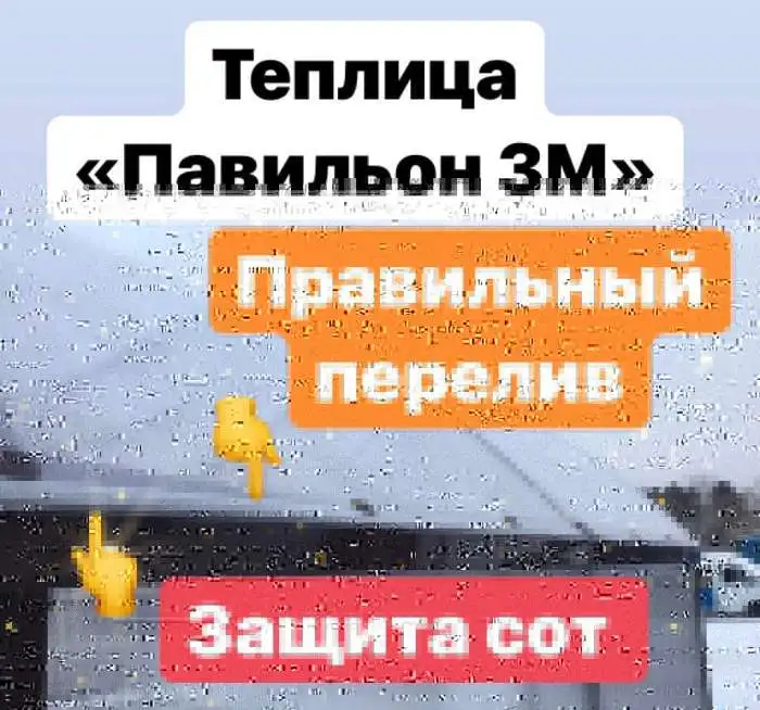 Теплица «Павильон 3М NEW 2019”, фотография 2