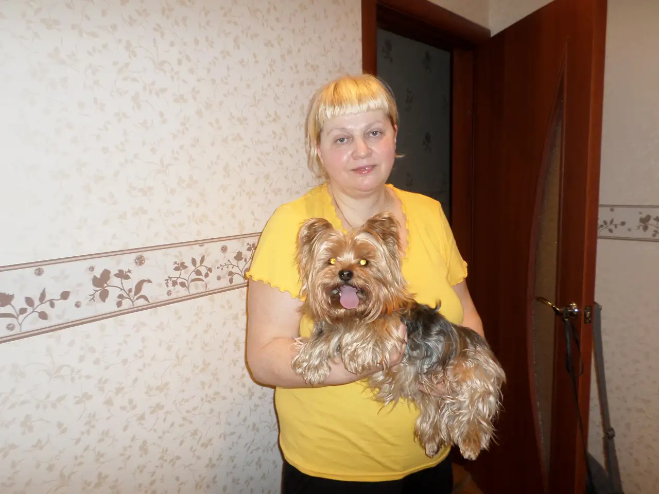Вязка Йоркширских терьеров. Инструктор по вязкам любых пород! Роды!, фотография 4