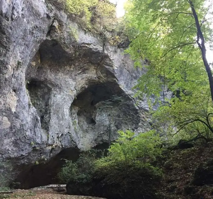 Конные экскурсии., фотография 3