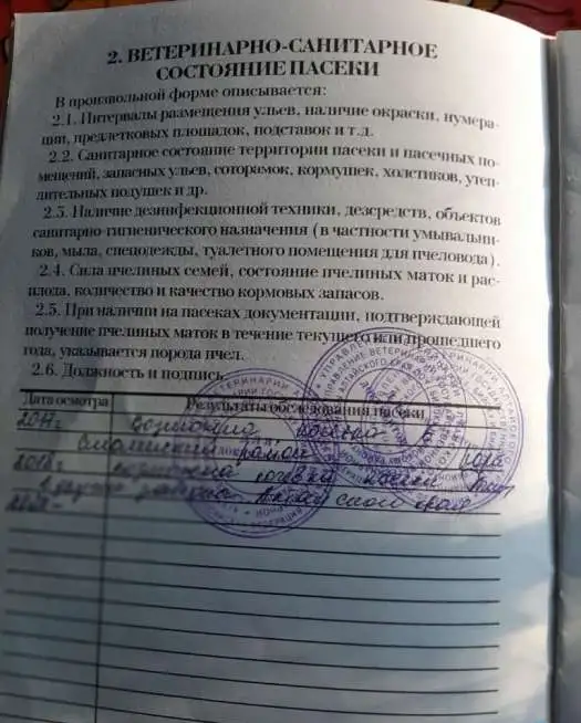 Продам мед алтайский, фотография 3