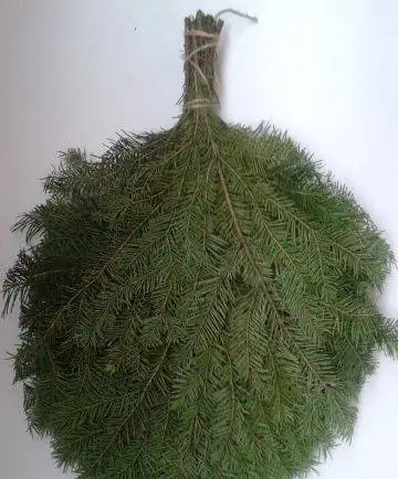 ЛЕСНАЯ ПРОДУКЦИЯ, фотография 1