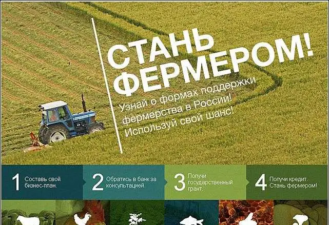 Земля в п. Красный Яр, 2.8 Га в собственности для КФХ, фотография 1