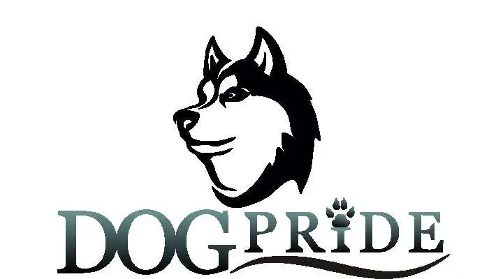 Кинологический тренинговый центр DogPride, фотография 1
