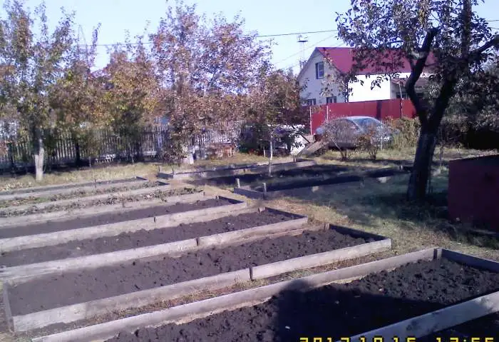 Продам сад в СНТ Трубопрокатчик 1, фотография 5