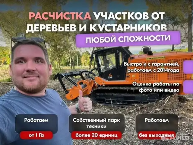 Расчистка заросших полей от деревьев от 1 Га, фотография 1