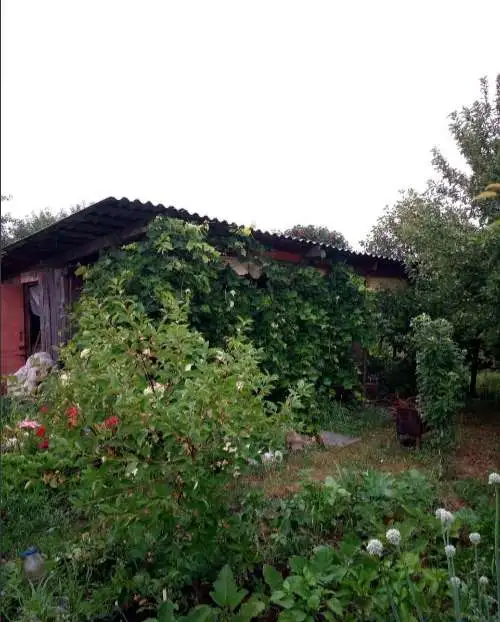 Продам дачу срочно, Самарская область село Выселки 18,00 м2, фотография 3