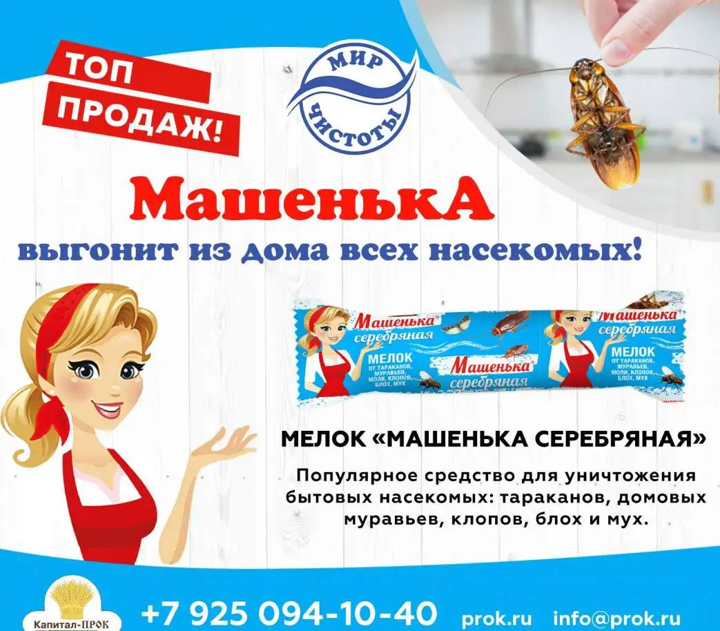 Машенька - выгонит из дома всех насекомых!, фотография 2