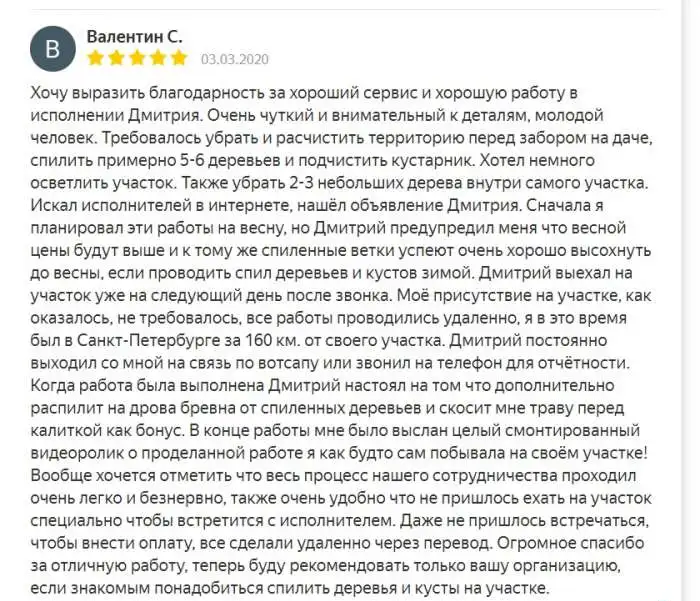 МОЯ ИСТОРИЯ. Расчистка участка в Ломоносове, Покос травы Ломоносов, Валка и Спил деревьев Ломоносовский район., фотография 3
