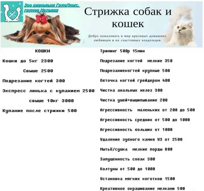 Грумер от ГрумЛюкс приедет к вам домой, фотография 10