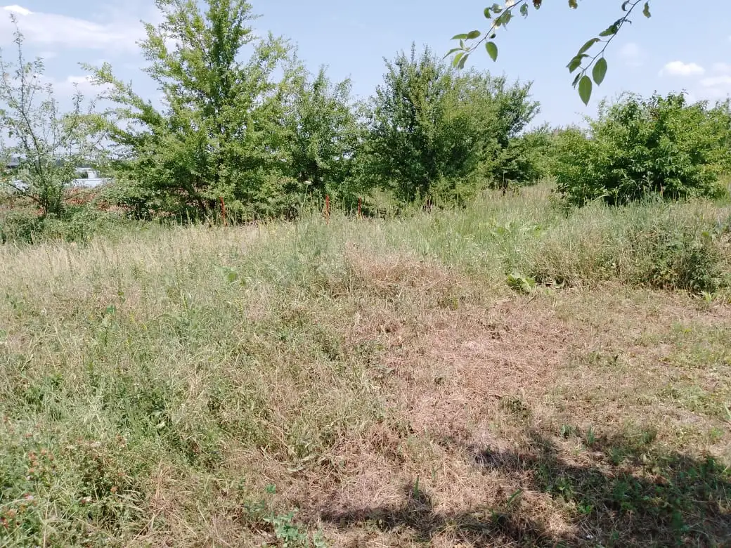 Продается зем. участок 10 соток, ст-ца Старокорсунская, ул. Васильевская., фотография 2