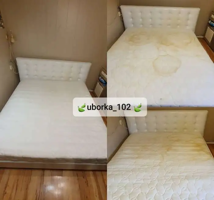 Химчистка мягкой мебели, матрасов выездная, фотография 2