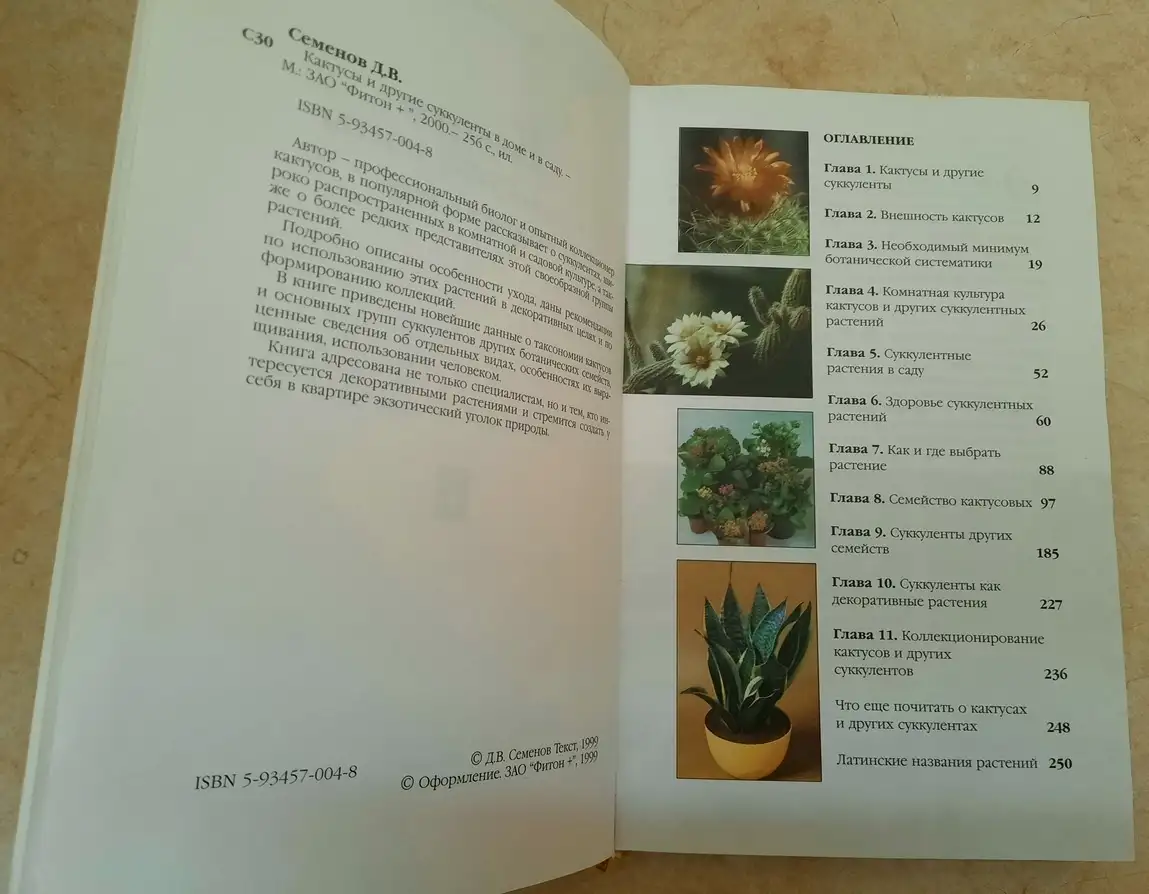 Кактусы и другие суккуленты в доме и в саду, фотография 4