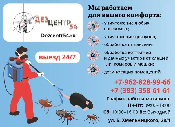 Дезинсекция, дезинфекция, дератизация., фотография 1