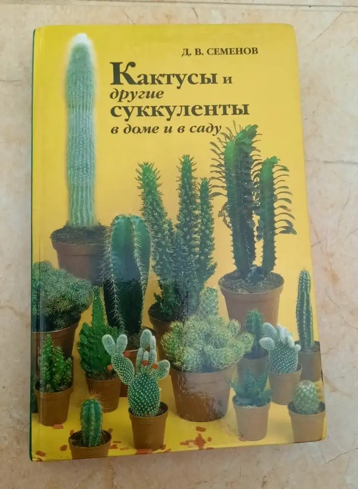 Кактусы и другие суккуленты в доме и в саду, фотография 1