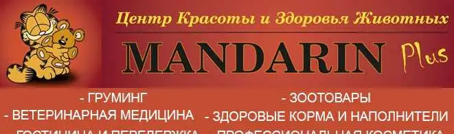 Чистка зубов собаке ультразвуком, фотография 1