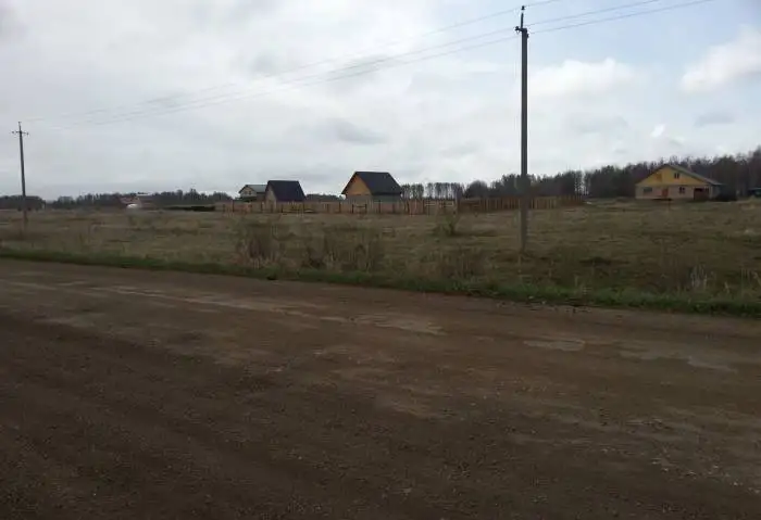 Земля ИЖС в д. Шимаковка Сосновского района, фотография 8