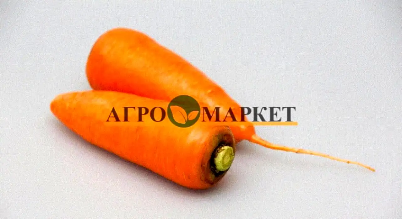 Морковь абако f1 2,6-2,8 (1 000 000 семян) seminis, фотография 1
