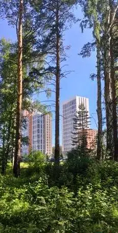 Квартиру в Екатеринбурге, мркн. Светлый, 19,00 м², 2 эт., Ботаническая м.,, мркн. Светлый, фотография 4