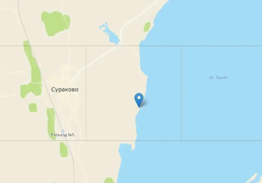 Земельный участок под коттеджный поселок в Челябинской обл., фотография 2