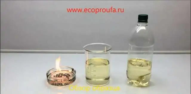 Компания ООО 
