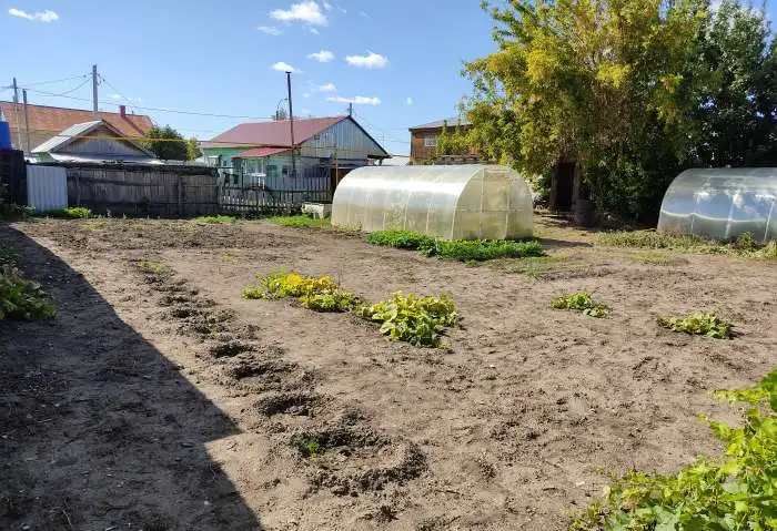 продажа дома 55,00 м2, фотография 4